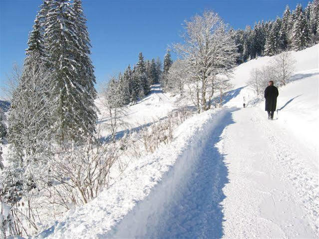 Haus Rigl Apartment Schladming